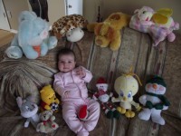 /album/galerie-photos/dscf0342-jpg/